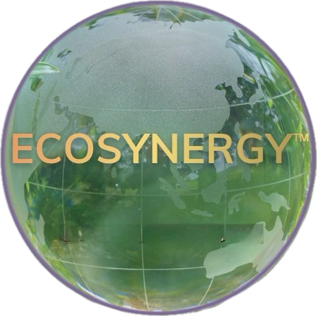 EcoSynergy.solutions